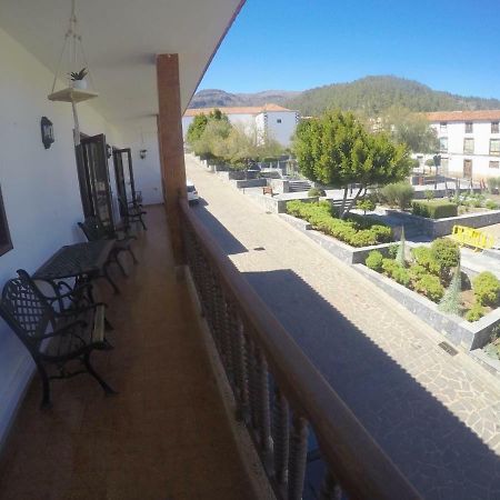El Jardin De Las Retamas Vilaflor Εξωτερικό φωτογραφία